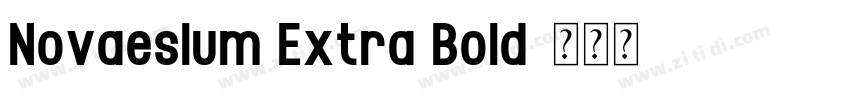 Novaesium Extra Bold字体转换